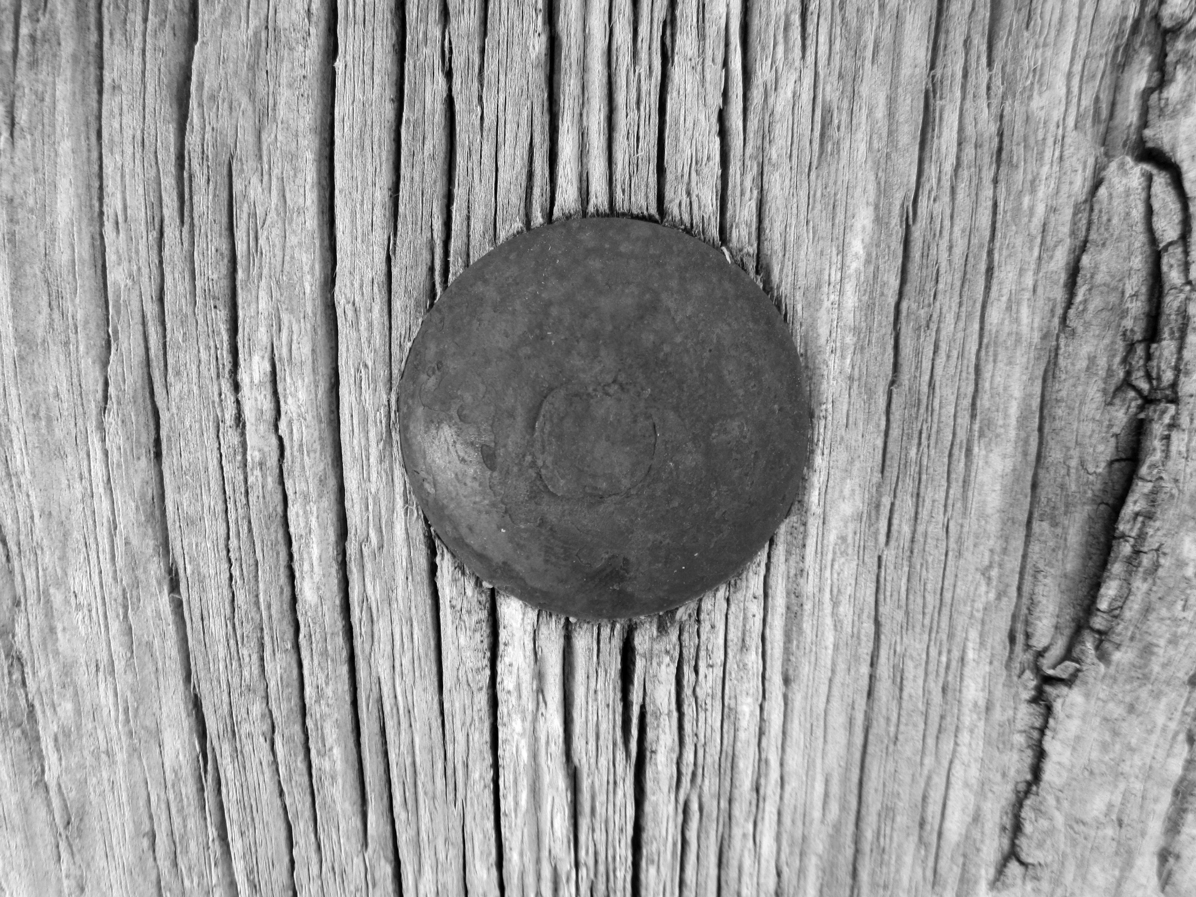 OLD NAIL IN A WOODEN DOOR. Blancas Teruel