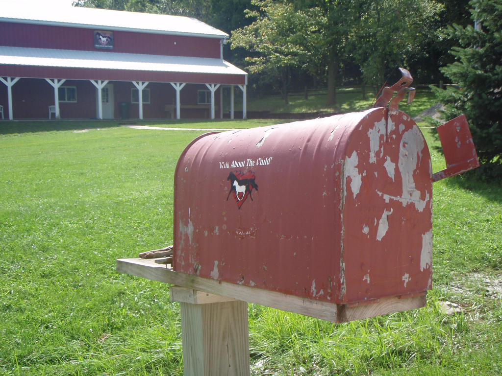 Wild Mailboxes Wild Mailbox by MidNiteRose9 on DeviantArt
