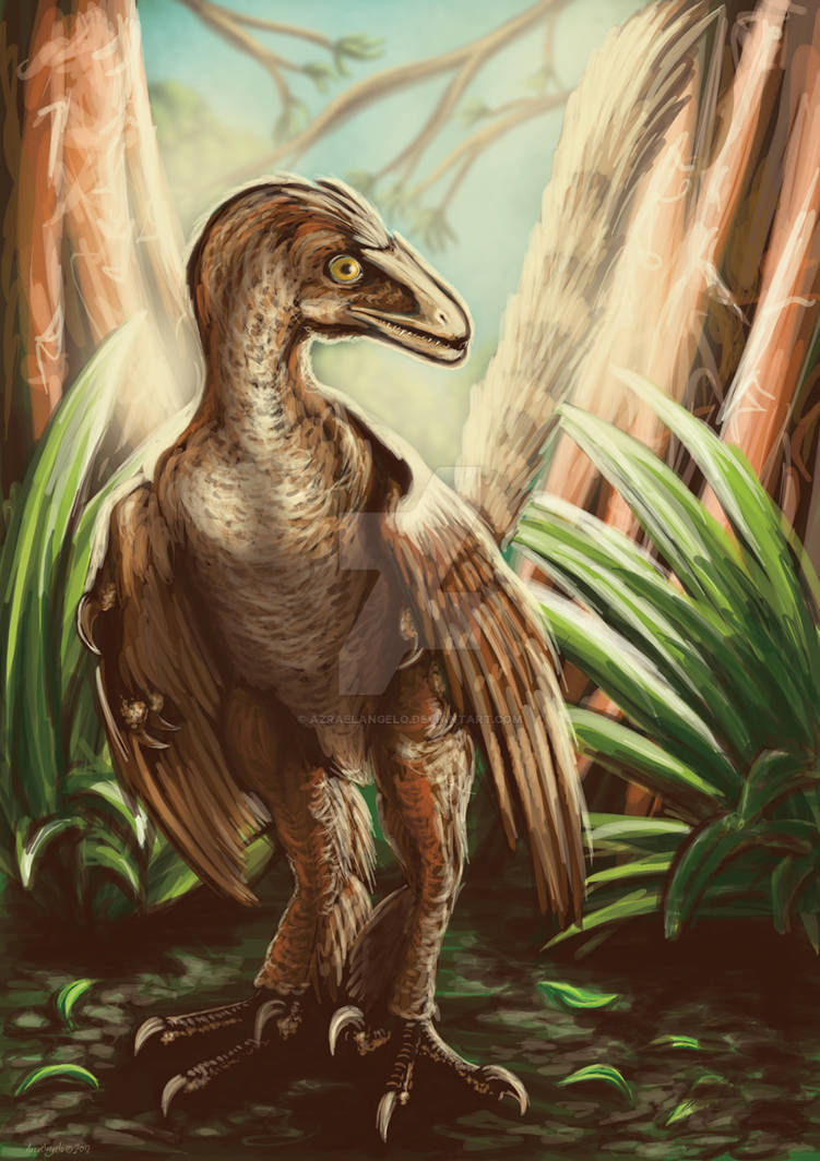 Sinornithosaurus Sinornithosaurus by Azraelangelo on DeviantArt