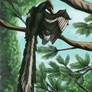 Archaeopteryx