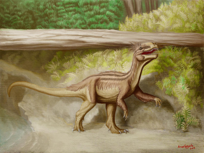 Coelurosaurichnus tatricus