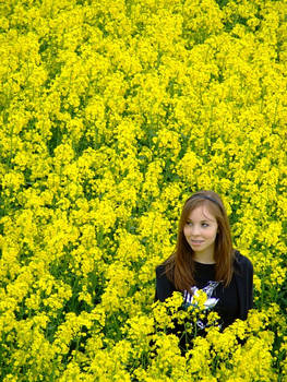 Rapeseed.