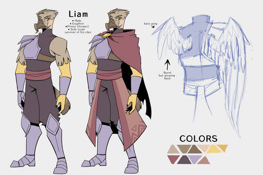 Liam Reference Sheet