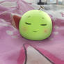 Sleeping Melon