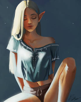 Casual Zelda