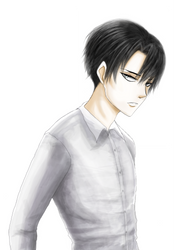 Rivaille Ackerman (Levi)