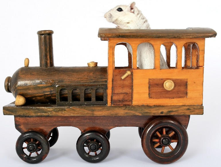 Rat on train by Solgalovamaria on DeviantArt