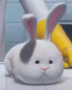 Ditto the rabbit by Solgalovamaria on DeviantArt