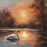 Sunset on swan lake