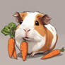 Cute Guinea pig and carrots