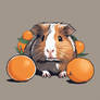 Guinea pig and oranges 