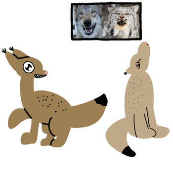 Grid results: wolf and lynx