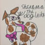 Sheanana the dog laika