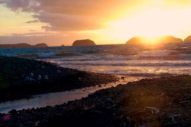 Sunset over The Mercury Islands