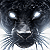 Panther Avatar