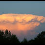Shroom Cloud