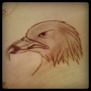 Draw Eagle