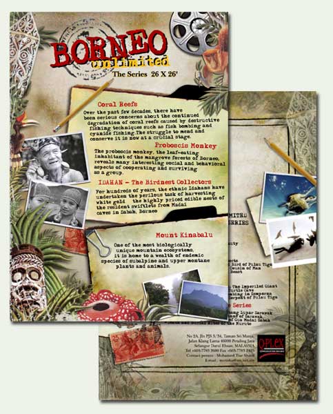 Borneo Flyer