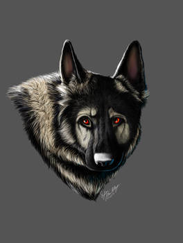 Explore the Best Ananiel Art | DeviantArt