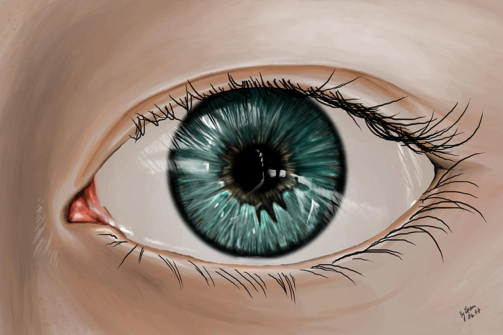 Eye