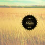 Cornfield Vintage Logo Wallpaper