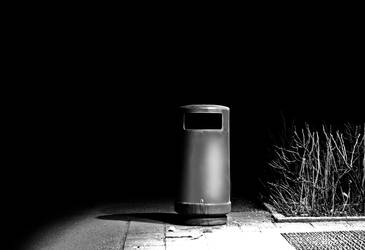 Portrait of a trashcan