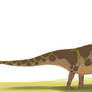 Camarasaurus