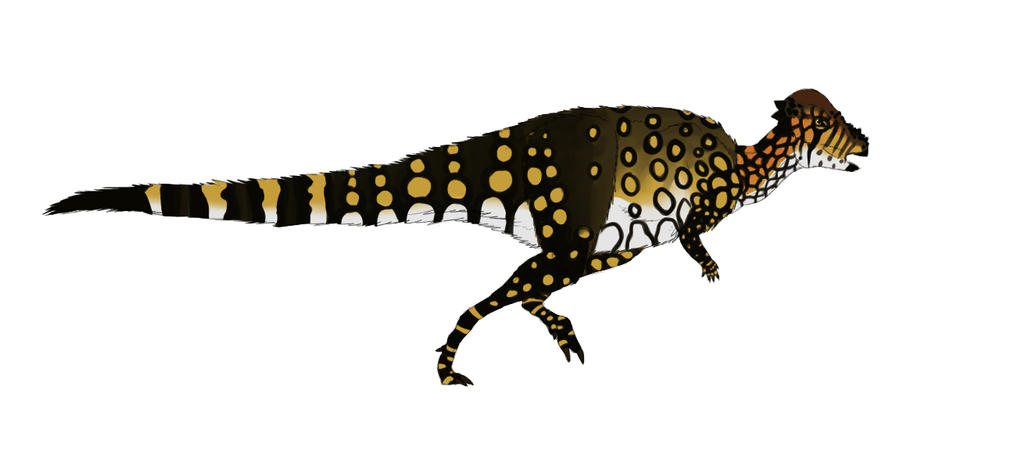 Pachycephalosaurus