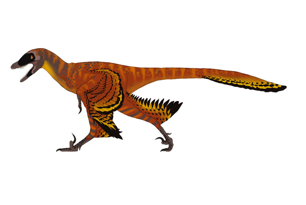 Sinornithosaurus Your Favorite Artwork(s) of Your Favorite Fossil Species - Page 4