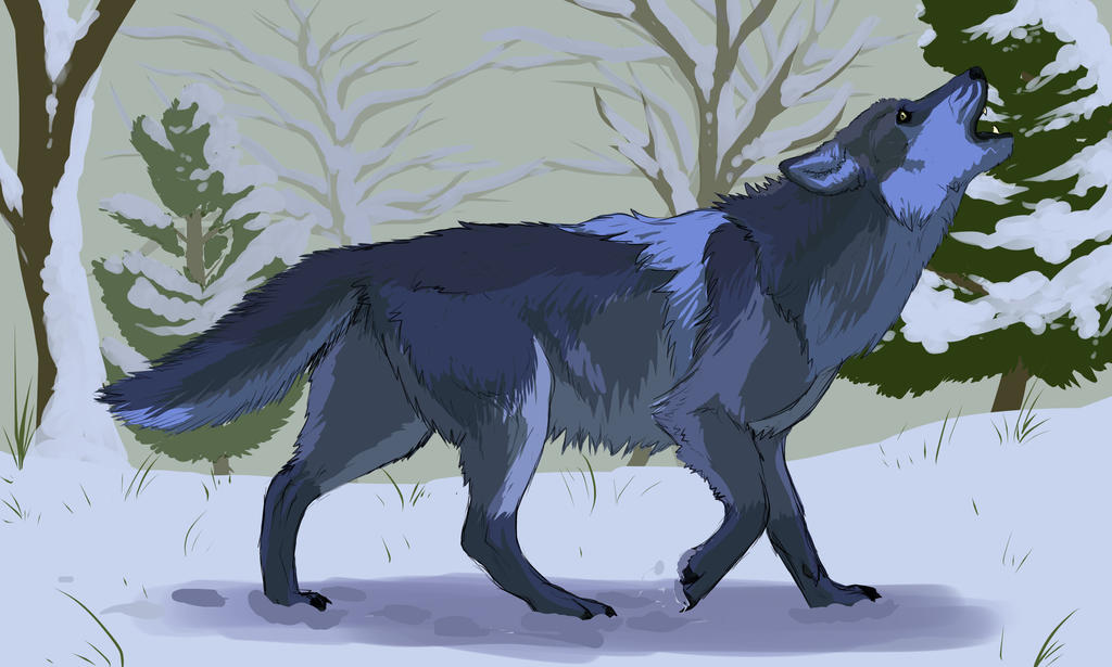 Blue Wolf by Medenadragon on DeviantArt