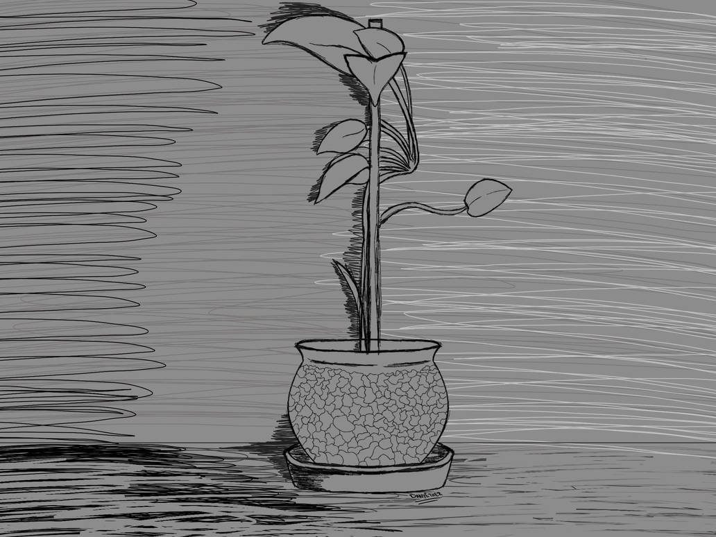 Plant Deviantart Just_a_plant by danyether on DeviantArt
