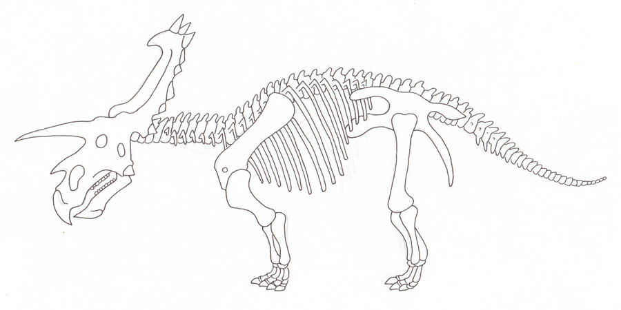 Anchiceratops skeleton