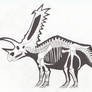 Pentaceratops skeleton scheme