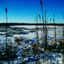 Looking over the small Lake