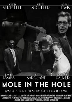 Mole in the Hole (2014) Poster 2