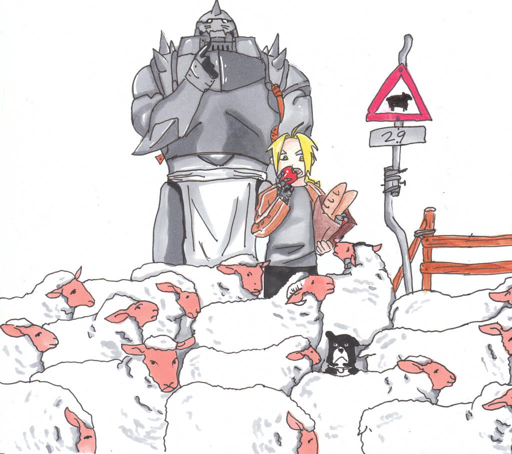 Edd and Alphonse with sheep