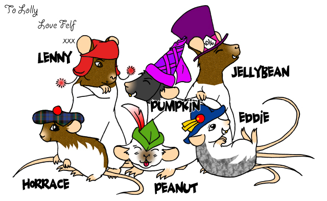 Rats in hats