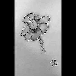 Divart Explore the Best Divart Art | DeviantArt