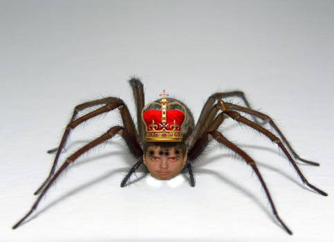 I am the spider king fear me