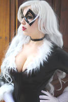 Black Cat