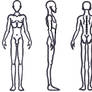 Male Anatomy - Skinny