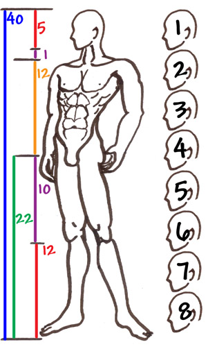 8 Heads Anime Male Proportions By Sunandshadow On Deviantart