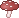 :mushroom: