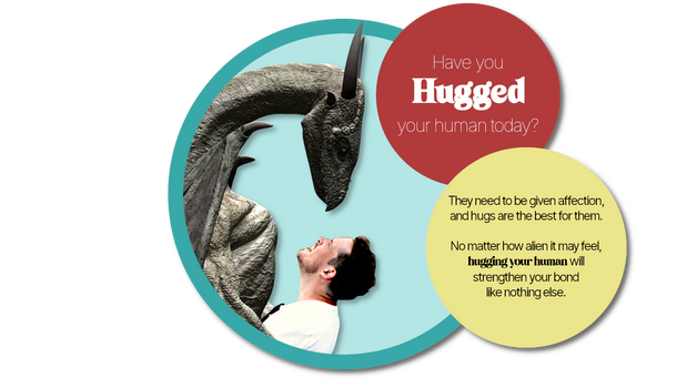 Have you hugged your human today?