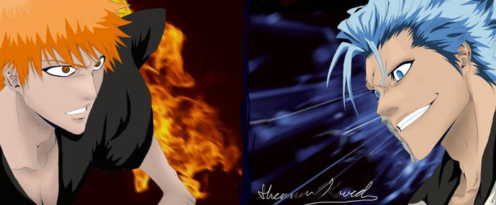 Grimmjow Vs. Ichigo (Bleach)