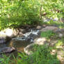 Peaceful Brook By The Appomattox River