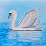 The swan
