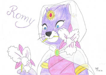Princess Romy favourites by KingLeoLionheart on DeviantArt
