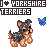 I love Yorkshire T.