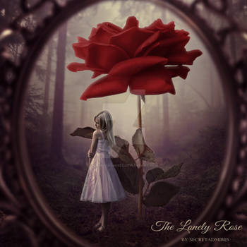 The Lonely Rose by Secretadmires